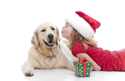 Vánoční sušenky pro psy ZDARMA