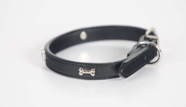Černý kožený obojek pro psy s kovovou sponou zdoben kostičkami 39 cm