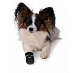 Trixie Walker Care Comfort bota pro psy L 2 kusy v balení