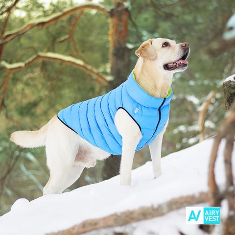 Airy Vest Dog Jacket Oboustranná zimní bunda pro psy dostupná v osmi barevných variantách S 40