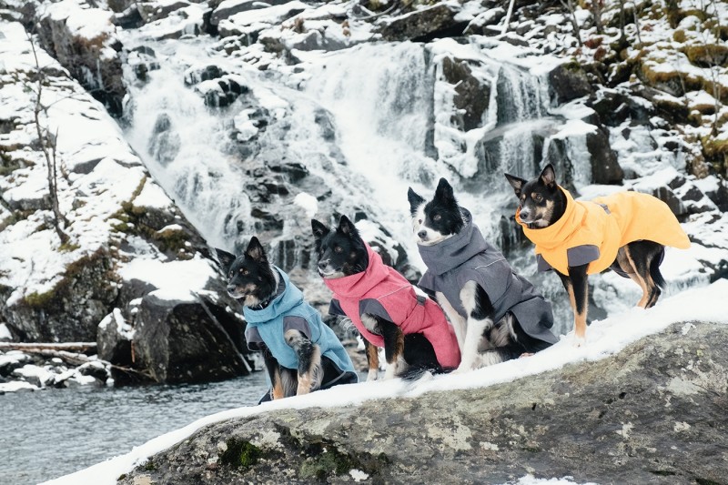 Bunda pro psy Hurtta Expedition Parka dostupná ve 4 barvách, velikost 25 