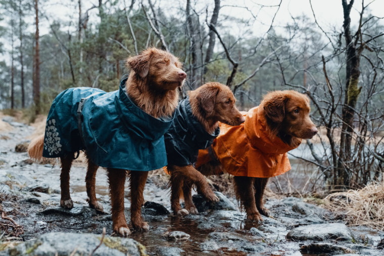 Pláštěnka pro psy Hurtta Monsoon Coat tři barevné varianty velikost 35 cm