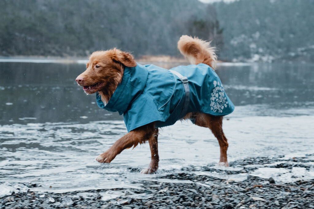 Pláštěnka pro psy Hurtta Monsoon Coat tři barevné varianty velikost 45 cm