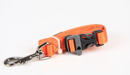Tazlab Nylonové vodítko pro psy T-Leash Blaze Orange 91-182cm