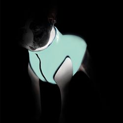 Airy Vest Dog Jacket LUMI Oboustranná svítící zimní bunda pro psy dvě barevné varianty L 55  