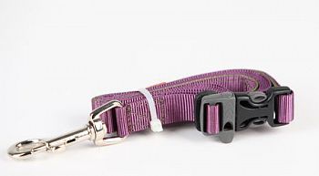Tazlab Nylonové vodítko pro psy T-Leash Wild Iris Purple 91-182 cm